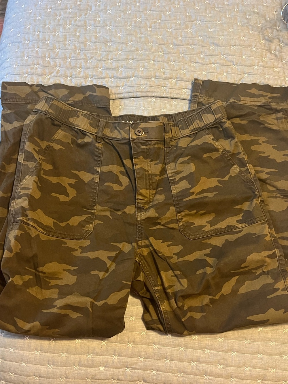 American Eagle Camo Pants
